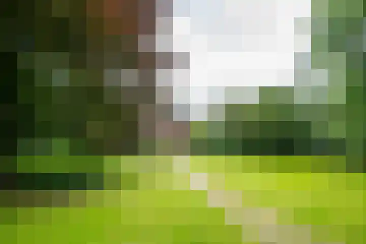 Doetinchemseweg 72 Zelhem thumbnail 12