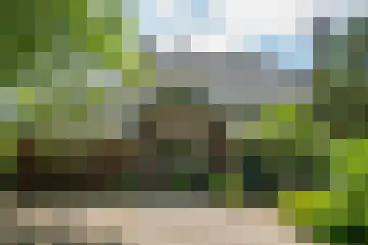 Doetinchemseweg 72 Zelhem thumbnail 15