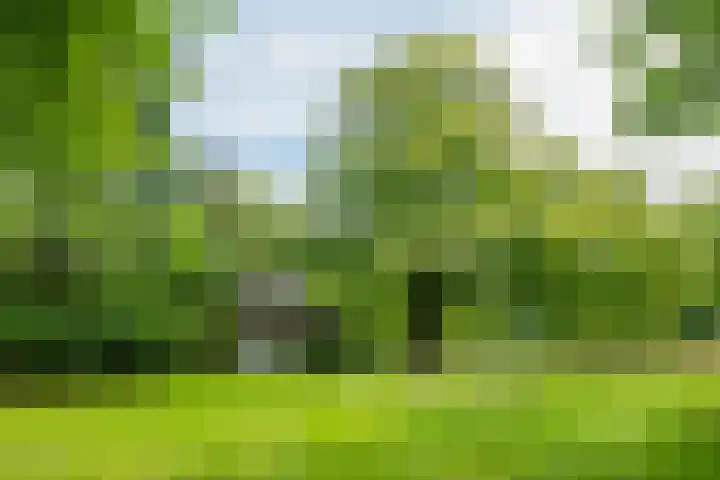 Doetinchemseweg 72 Zelhem thumbnail 18