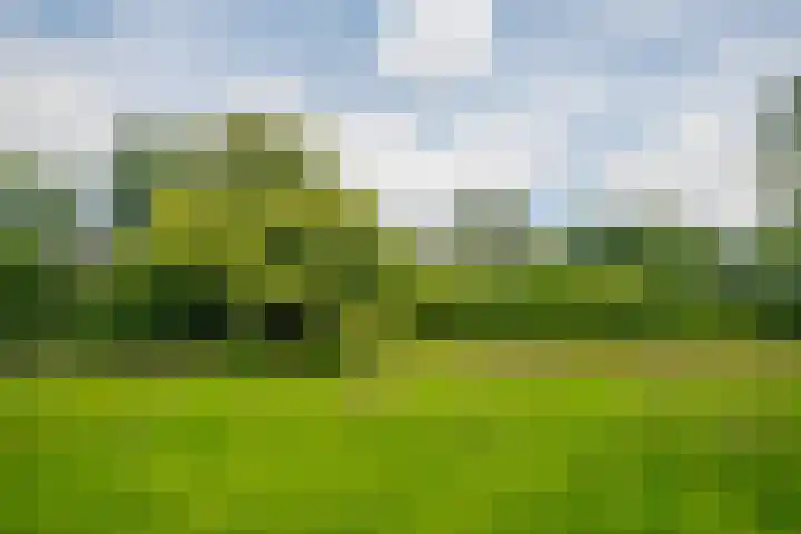 Doetinchemseweg 72 Zelhem thumbnail 24