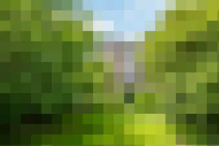 Doetinchemseweg 72 Zelhem thumbnail 25