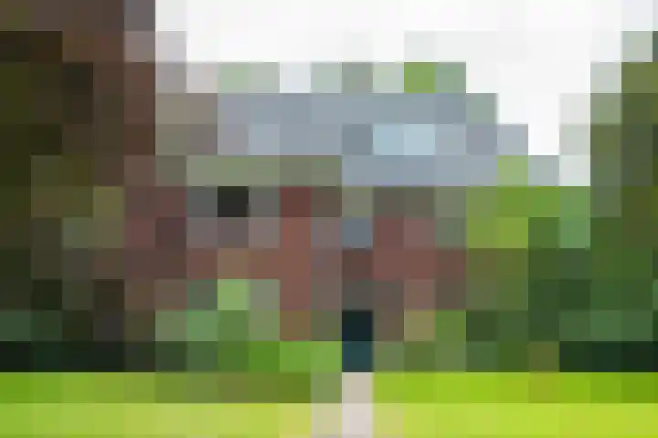 Doetinchemseweg 72 Zelhem thumbnail 5