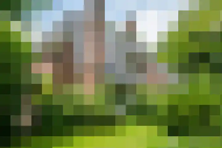 Doetinchemseweg 72 Zelhem thumbnail 8