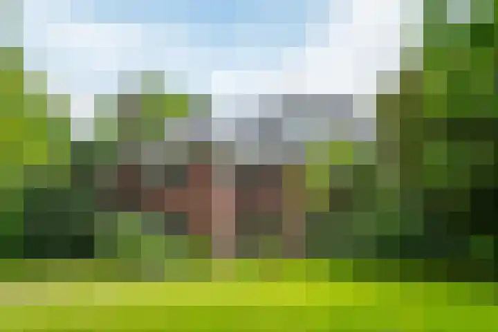 Doetinchemseweg 72 Zelhem thumbnail 97