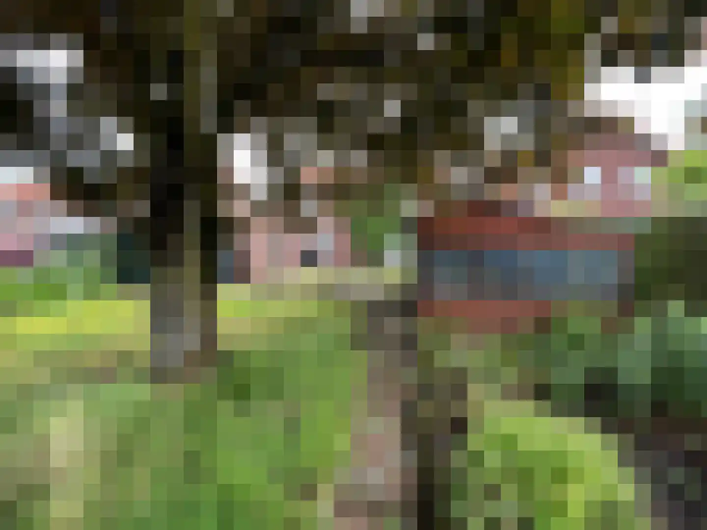 Doetinchemseweg 73 Varsseveld thumbnail 5