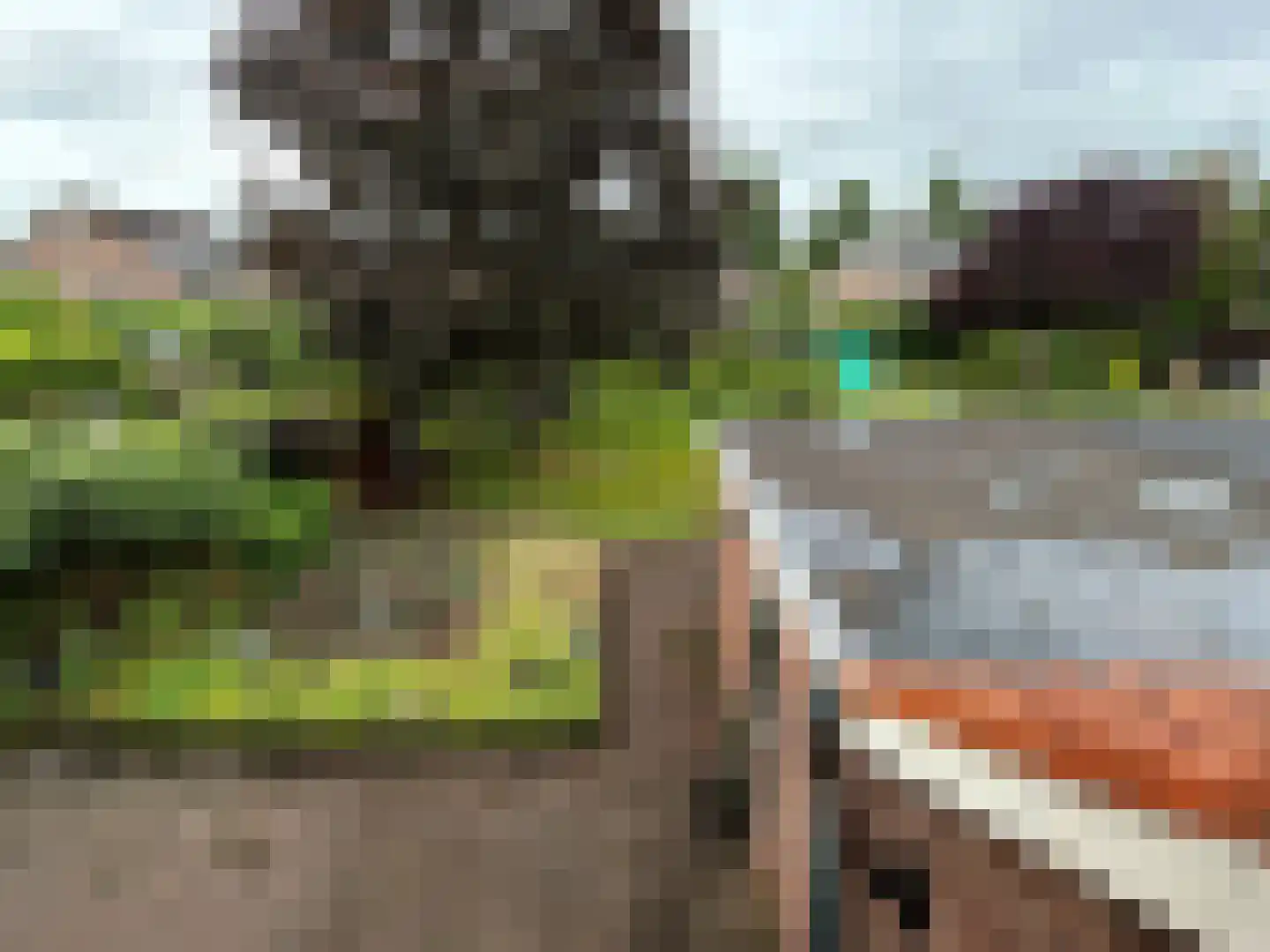 Doetinchemseweg 73 Varsseveld thumbnail 6