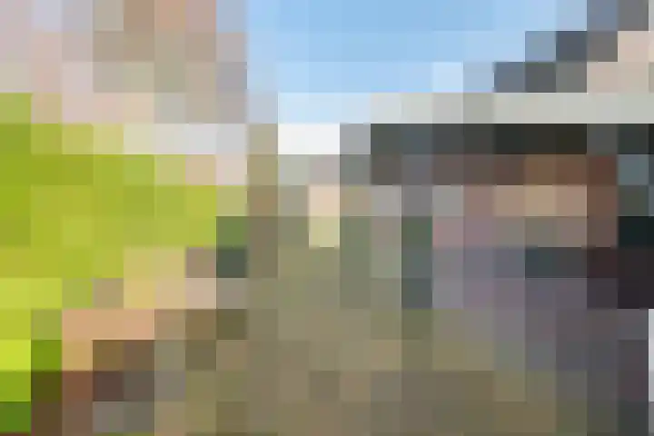 Doetinchemseweg 97 Varsseveld thumbnail 33