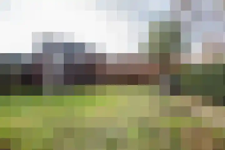 Doetinchemseweg 97 Varsseveld thumbnail 4