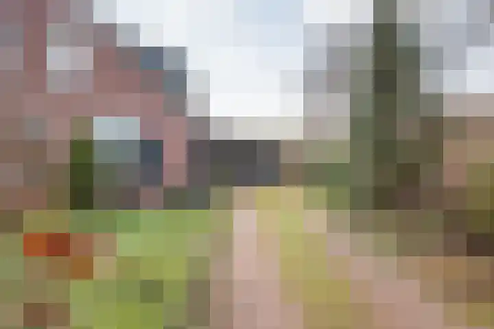 Doetinchemseweg 97 Varsseveld thumbnail 5