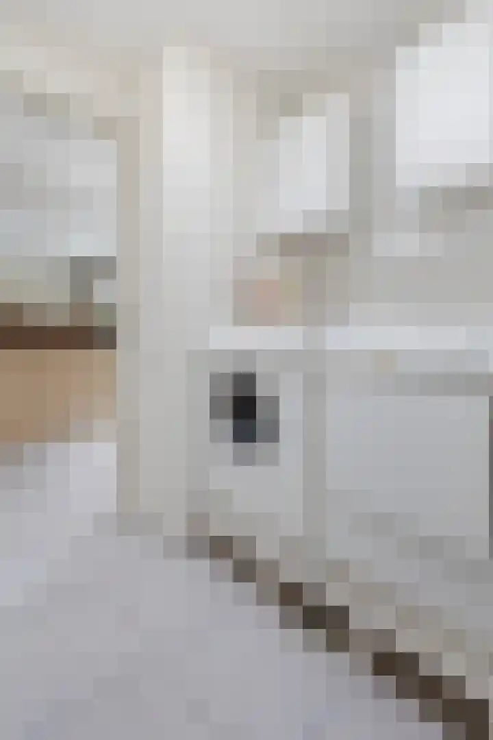Doetse Vliet 20 Giessenburg thumbnail 24