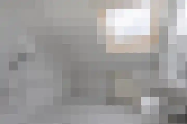 Doetse Vliet 20 Giessenburg thumbnail 31