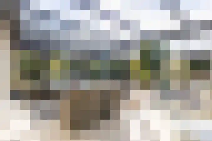 Doetse Vliet 20 Giessenburg thumbnail 33