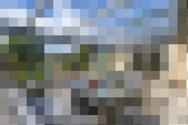 Doetse Vliet 20 Giessenburg thumbnail 34
