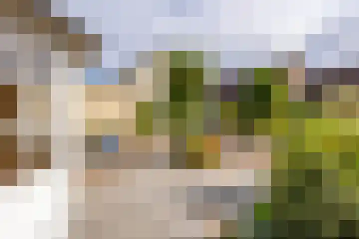 Doetse Vliet 20 Giessenburg thumbnail 37