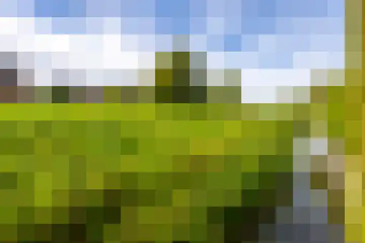 Doetse Vliet 20 Giessenburg thumbnail 38