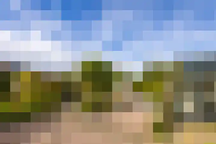 Doetse Vliet 20 Giessenburg thumbnail 39