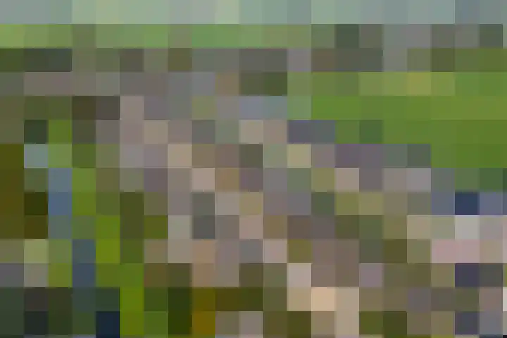 Doetse Vliet 20 Giessenburg thumbnail 4