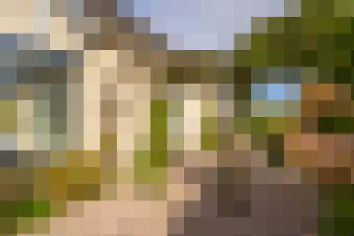 Doetse Vliet 20 Giessenburg thumbnail 40