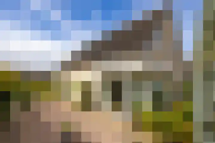 Doetse Vliet 20 Giessenburg thumbnail 41