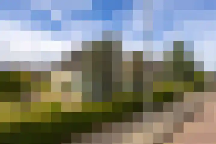 Doetse Vliet 20 Giessenburg thumbnail 42