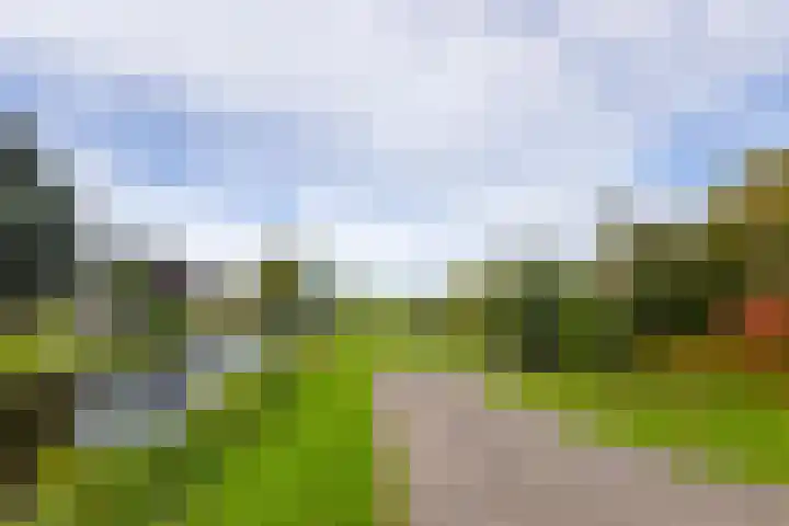 Doetse Vliet 20 Giessenburg thumbnail 45
