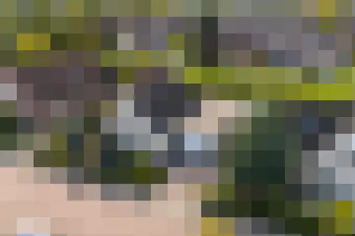 Doetse Vliet 20 Giessenburg thumbnail 48