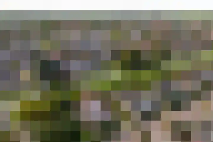 Doetse Vliet 20 Giessenburg thumbnail 49