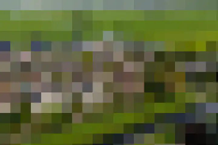 Doetse Vliet 20 Giessenburg thumbnail 51