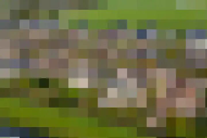 Doetse Vliet 20 Giessenburg thumbnail 52
