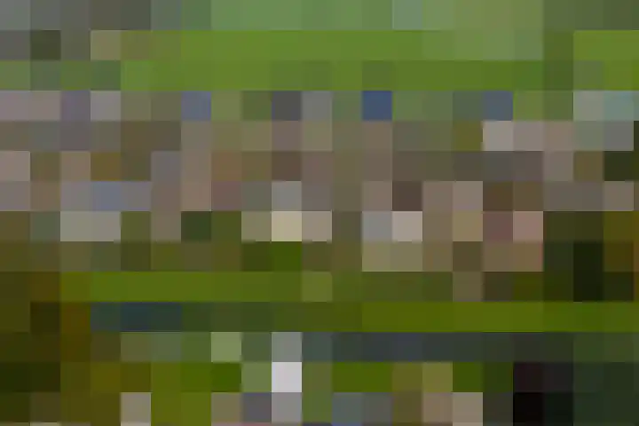 Doetse Vliet 20 Giessenburg thumbnail 53