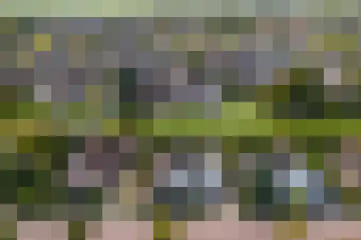 Doetse Vliet 20 Giessenburg thumbnail 55