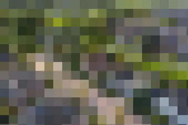 Doetse Vliet 20 Giessenburg thumbnail 56