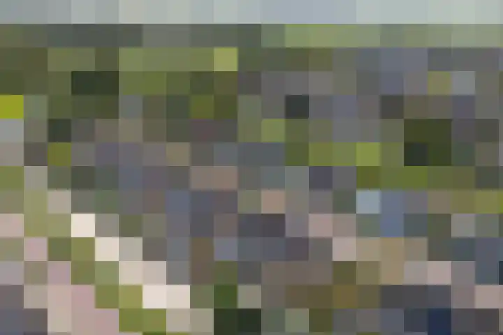 Doetse Vliet 20 Giessenburg thumbnail 57