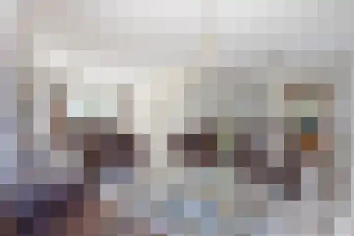 Doetse Vliet 20 Giessenburg thumbnail 6