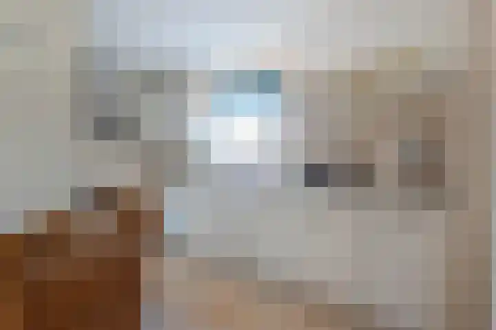 Doetse Vliet 24 Giessenburg thumbnail 20
