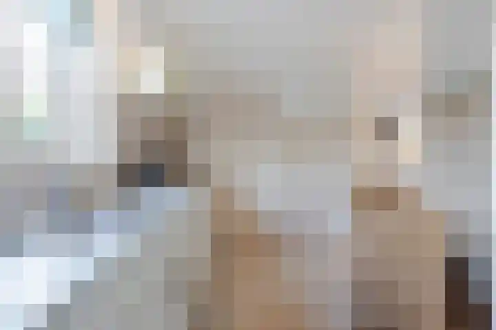 Doetse Vliet 24 Giessenburg thumbnail 22