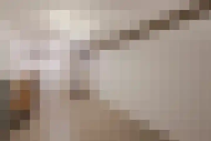 Doetse Vliet 24 Giessenburg thumbnail 23