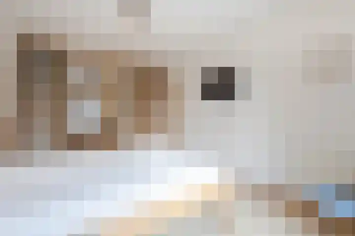 Doetse Vliet 24 Giessenburg thumbnail 28