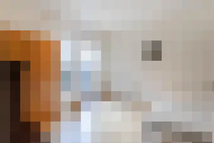 Doetse Vliet 24 Giessenburg thumbnail 29