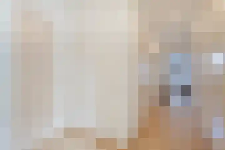 Doetse Vliet 24 Giessenburg thumbnail 36
