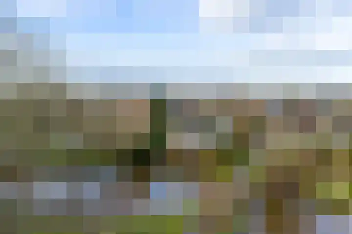 Doetse Vliet 24 Giessenburg thumbnail 4