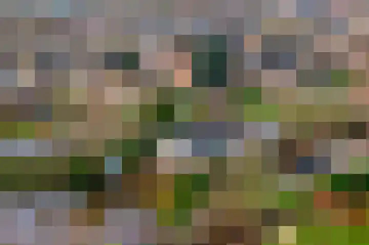 Doetse Vliet 24 Giessenburg thumbnail 41