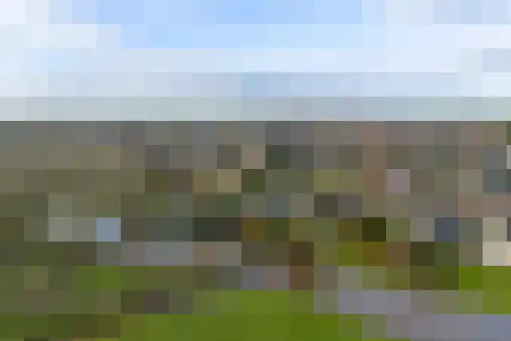 Doetse Vliet 24 Giessenburg thumbnail 42