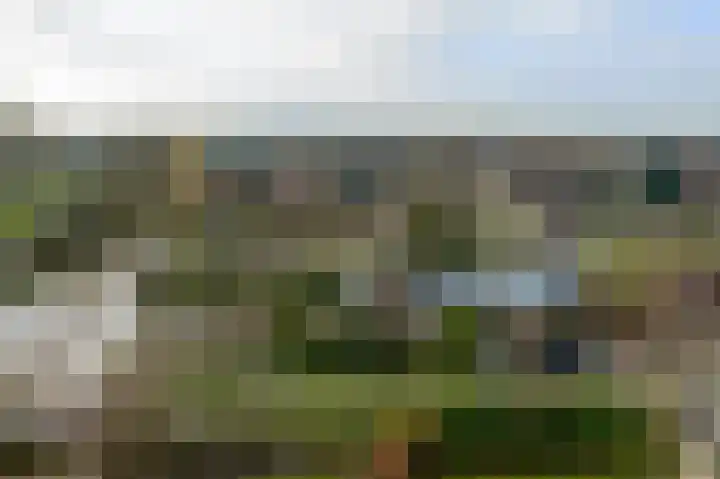Doetse Vliet 24 Giessenburg thumbnail 43