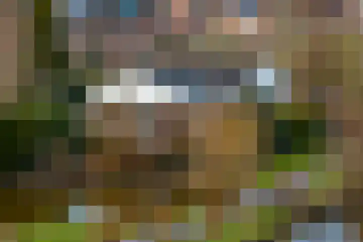 Doetse Vliet 24 Giessenburg thumbnail 45