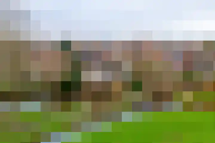 Doetse Vliet 24 Giessenburg thumbnail 46