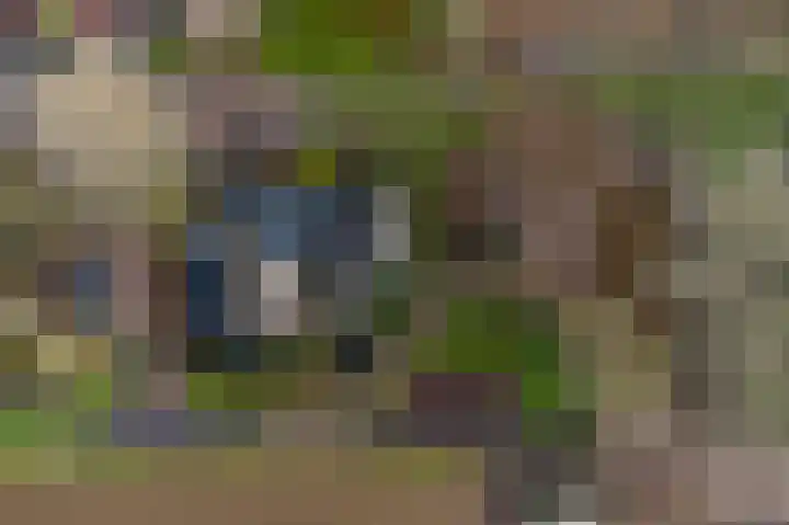 Doetse Vliet 24 Giessenburg thumbnail 47