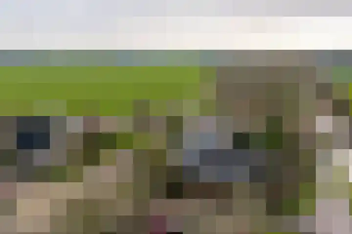 Doetse Vliet 24 Giessenburg thumbnail 48