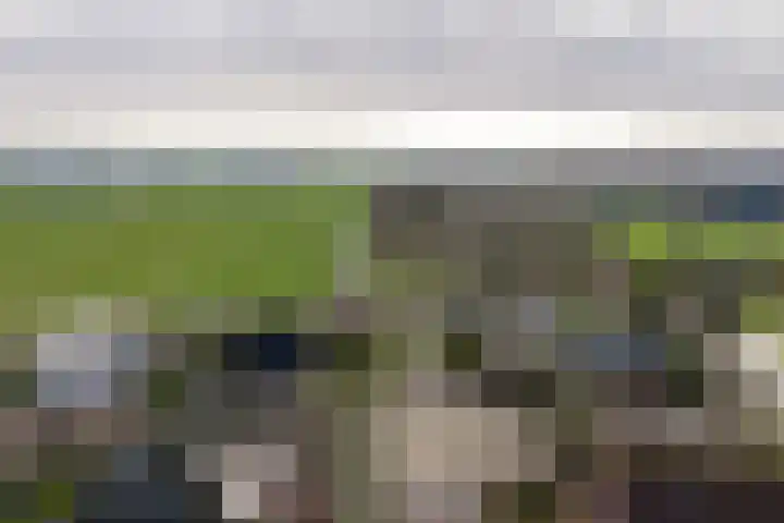 Doetse Vliet 24 Giessenburg thumbnail 49
