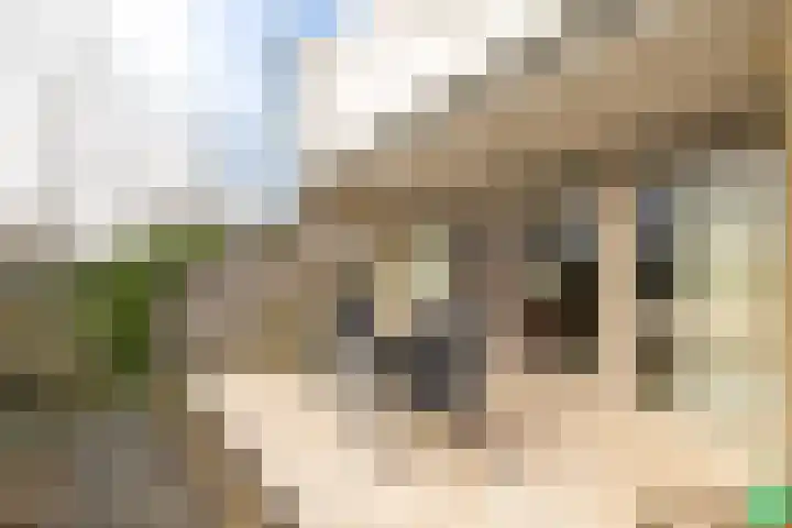 Doetse Vliet 24 Giessenburg thumbnail 51